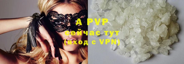 экстази Арсеньев