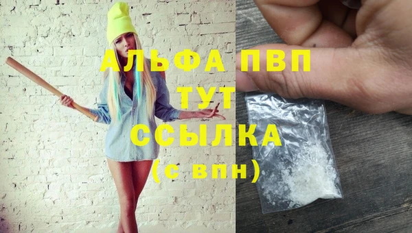 экстази Арсеньев