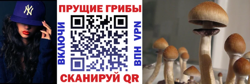 Галлюциногенные грибы мухоморы  магазин    Таруса 